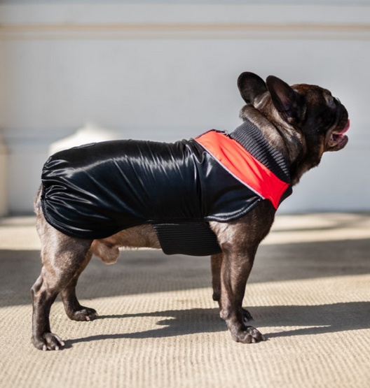 Chaba Ubranko regulowane Wear Magnifique 4XL czerwone