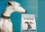 Amanova Dog Adult Exigent Iberian Pork - wieprzowina 2kg
