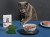 Amanova Cat Tasty Salmon & Turkey - łosoś i indyk saszetka 85g [P11]