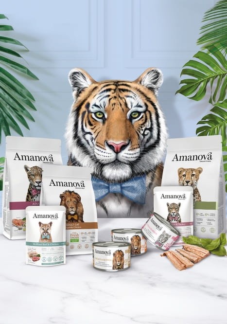 Amanova Cat Kitten Exquisite Chicken - kurczak 300g