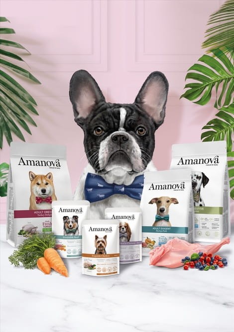 Amanova Dog Puppy Medium Exquisite Chicken - kurczak 12kg