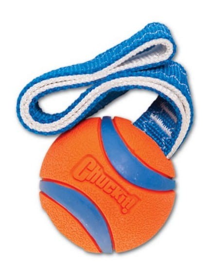 Chuckit! Ultra Tug Medium