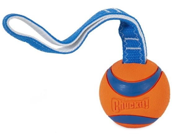 Chuckit! Ultra Tug Large