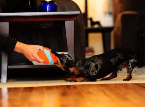Chuckit! Indoor Ball