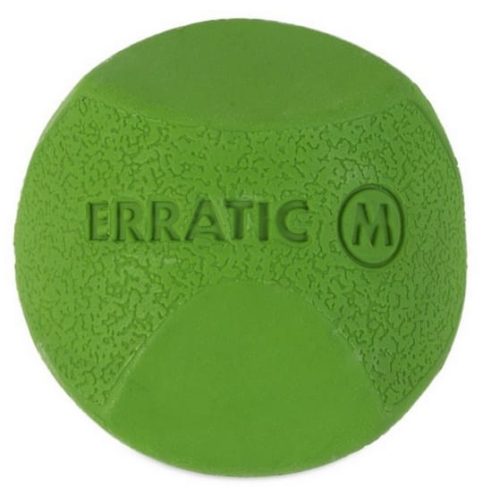 Chuckit! Erratic Ball Medium