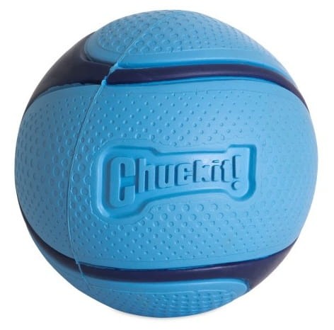 Chuckit! Sniff Fetch Ball Bacon Medium