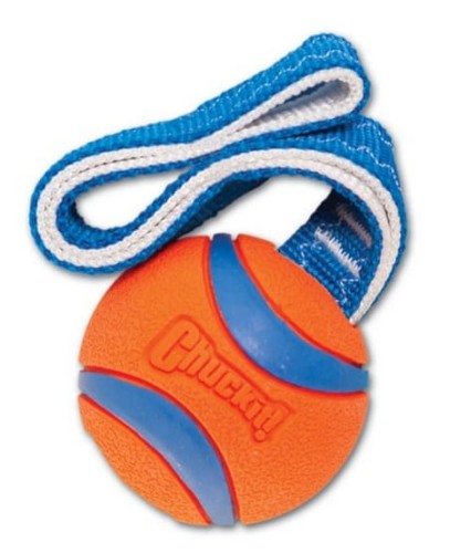 Chuckit! Ultra Tug Small