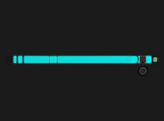 Collar WauDog Waterproof Obroża wodoodporna z QR-paszportem, akumulująca światło, plastikowy fastex, 25mm/34-49cm