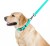 Collar WauDog Waterproof Obroża wodoodporna z QR-paszportem, akumulująca światło, plastikowy fastex, 25mm/34-49cm