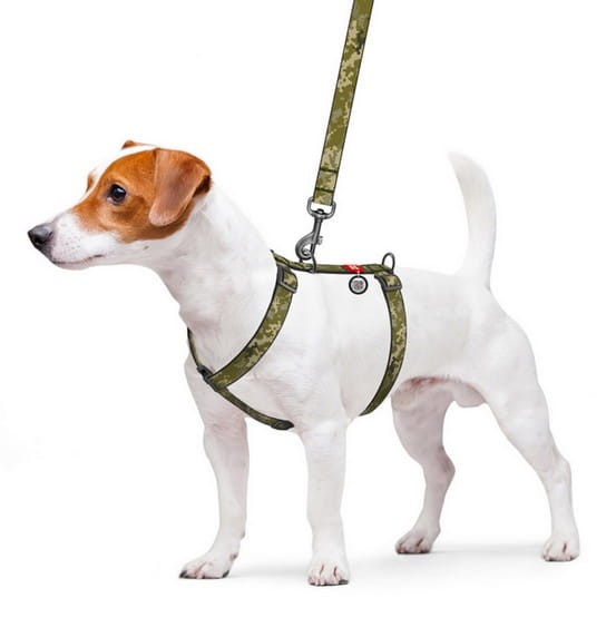 Collar WauDog Nylon Szelki nylonowe anatomiczne w kształcie litery H, z QR-paszportem, plastikowy fastex, wzór MILITARY, rozmiar S 15mm