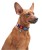 Collar WauDog Nylon Obroża nylonowa z QR-paszportem, plastikowy fastex, wzór NASA, 20mm/28-40cm