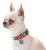 Collar WauDog Nylon Obroża nylonowa z QR-paszportem, plastikowy fastex, wzór FUTRZANE POTWORY, XXL 35mm/46-70cm