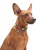 Collar WauDog Nylon Obroża nylonowa z QR-paszportem, plastikowy fastex, wzór FUTRZANE POTWORY, XXL 35mm/46-70cm