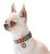 Collar WauDog Nylon Obroża nylonowa z QR-paszportem, plastikowy fastex, wzór MILITARY, S 15mm/25-35cm
