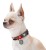 Collar WauDog Nylon Obroża nylonowa z QR-paszportem, plastikowy fastex, wzór ZĘBATE POTWORY, L 25mm/33-49cm