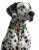 Collar WauDog Nylon Mono Obroża nylonowa odblaskowa z QR-paszportem, plastikowy fastex, M 20mm/28-40cm jasnozielona