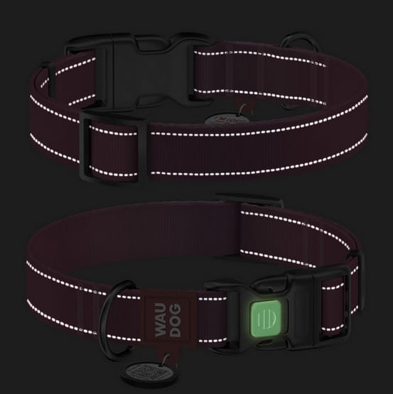 Collar WauDog Nylon Mono Obroża nylonowa odblaskowa z QR-paszportem, plastikowy fastex, M 20mm/28-40cm jasnozielona