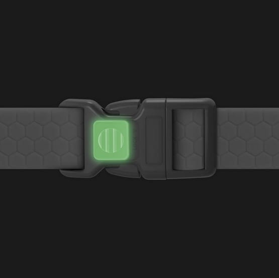 Collar Waterproof Obroża wodoodporna z QR-paszportem, plastikowy fastex, S 15mm/25-35cm różowa