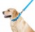 Collar Waterproof Smycz wodoodporna L-XXL 25mm/183cm niebieska