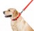Collar Waterproof Smycz wodoodporna M 20mm/183cm czerwona