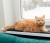 MIMIKO Pets Mata Velvet 25x70cm grafit
