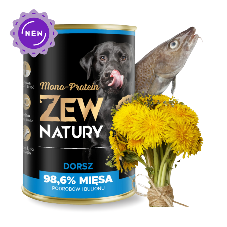 Projekt bez nazwy.png