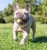 Chuckit! Eco Fetch Ball Small 2pak [37163]