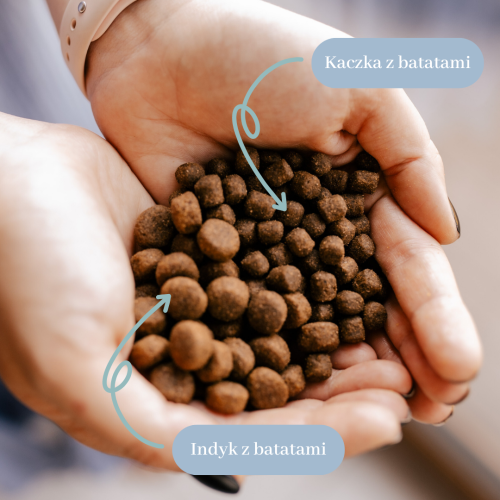 Duże i małe granulki (1).png