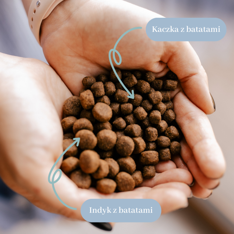 Duże i małe granulki (1).png