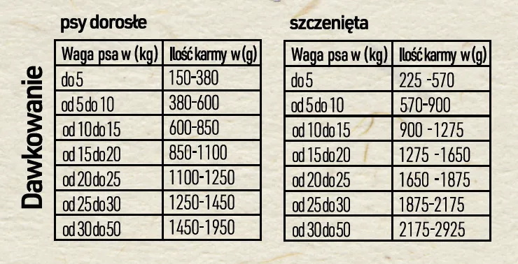 bazant Zrzut ekranu 2024-01-22 o 22-21-39 (1).webp