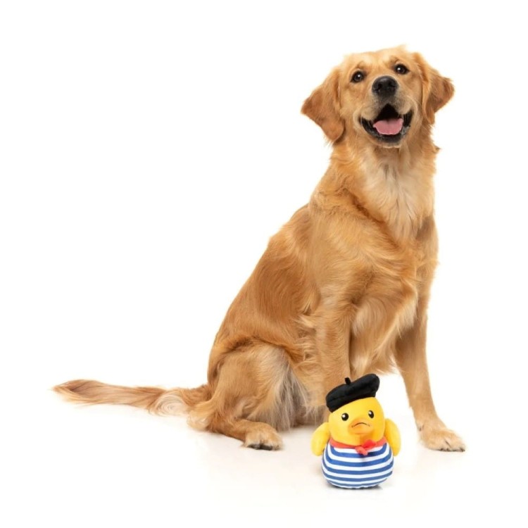 fuzzyard-zabawka-dla-psa-timotheusz-chalakwak (2).jpg