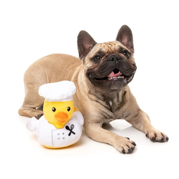 gordon-quacksay-fuzzyard (4).jpg