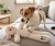 Zolux Zabawka pluszowa Furry Farm Owca Lenny 33cm