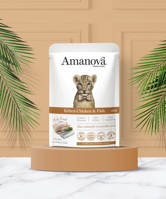 Amanova Cat Kitten Chicken & Fish - kurczak i biała ryba saszetka 85g [P09]