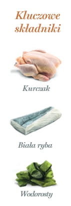 Amanova Cat Kitten Chicken & Fish - kurczak i biała ryba saszetka 85g [P09]