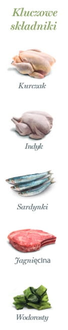 Amanova Cat Sterilised Lamb & Sardines - jagnięcina i sardynki saszetka 85g [P13]