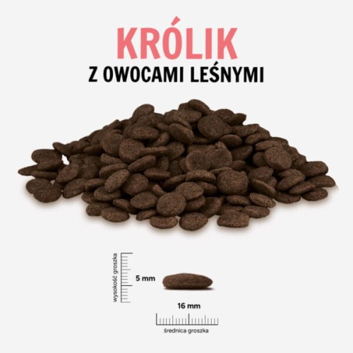 KROLIK-OWOCE-LESNE-L-600x600.jpg
