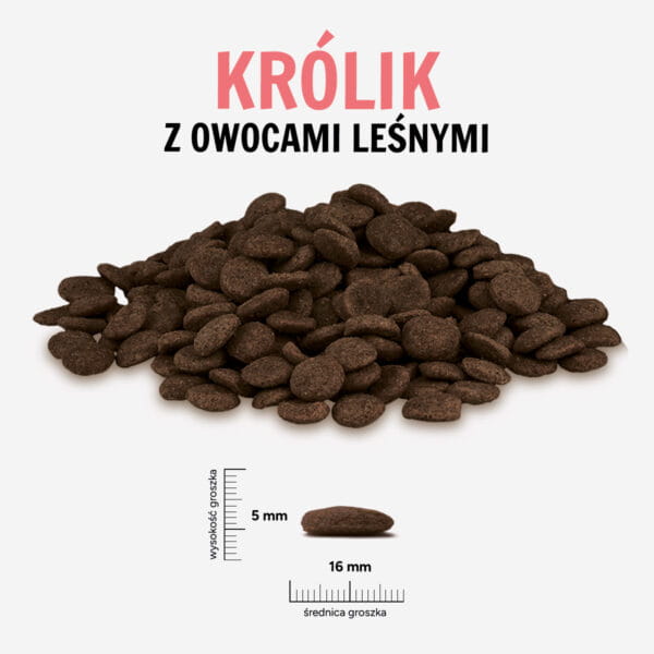 KROLIK-OWOCE-LESNE-L-600x600.jpg