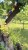 IMG_5932.PNG