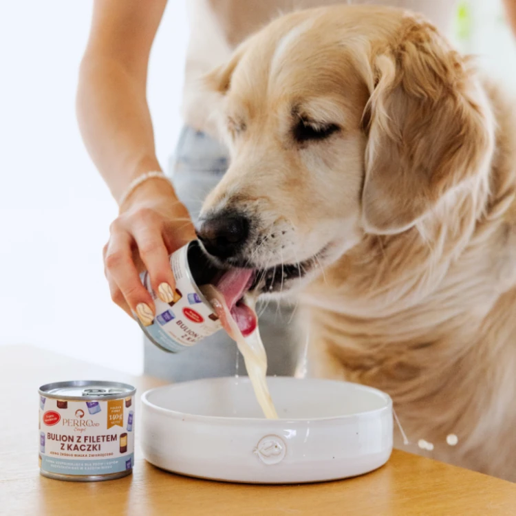perroland_soups_kaczka1-768x768.png