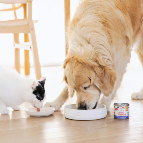 perroland_soups_wolowina1-768x768.png