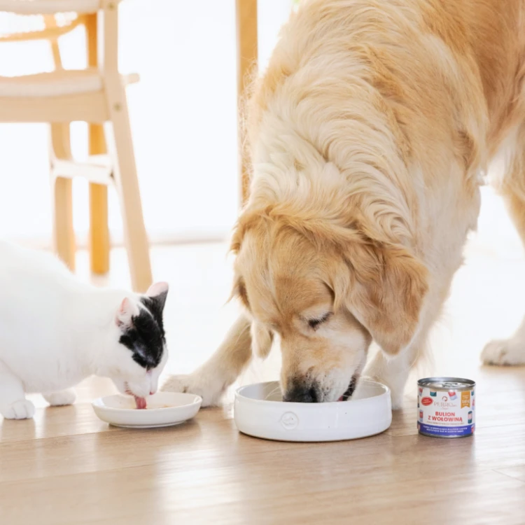 perroland_soups_wolowina1-768x768.png