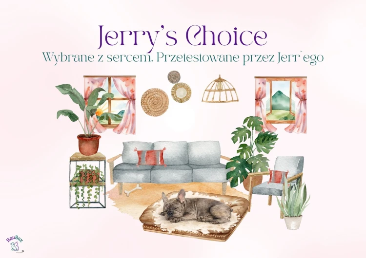 8_Zestaw czerwony - Jerry.jpg