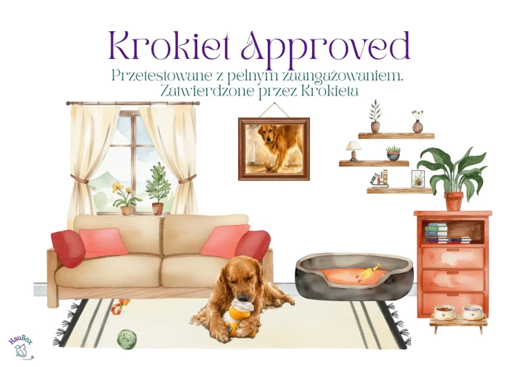 5_Zestaw Krokiet Approved.jpg